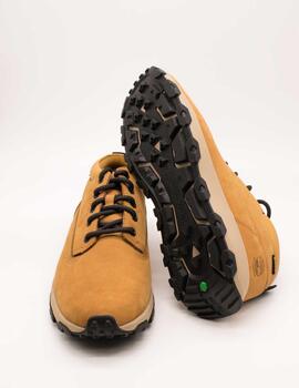 Botín Timberland A41J77-541 Winsor Park de Hombre